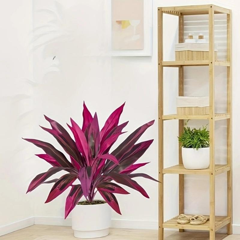 Dracaena Marginata - نبات Dracaena Marginata الاصطناعي بطول 60