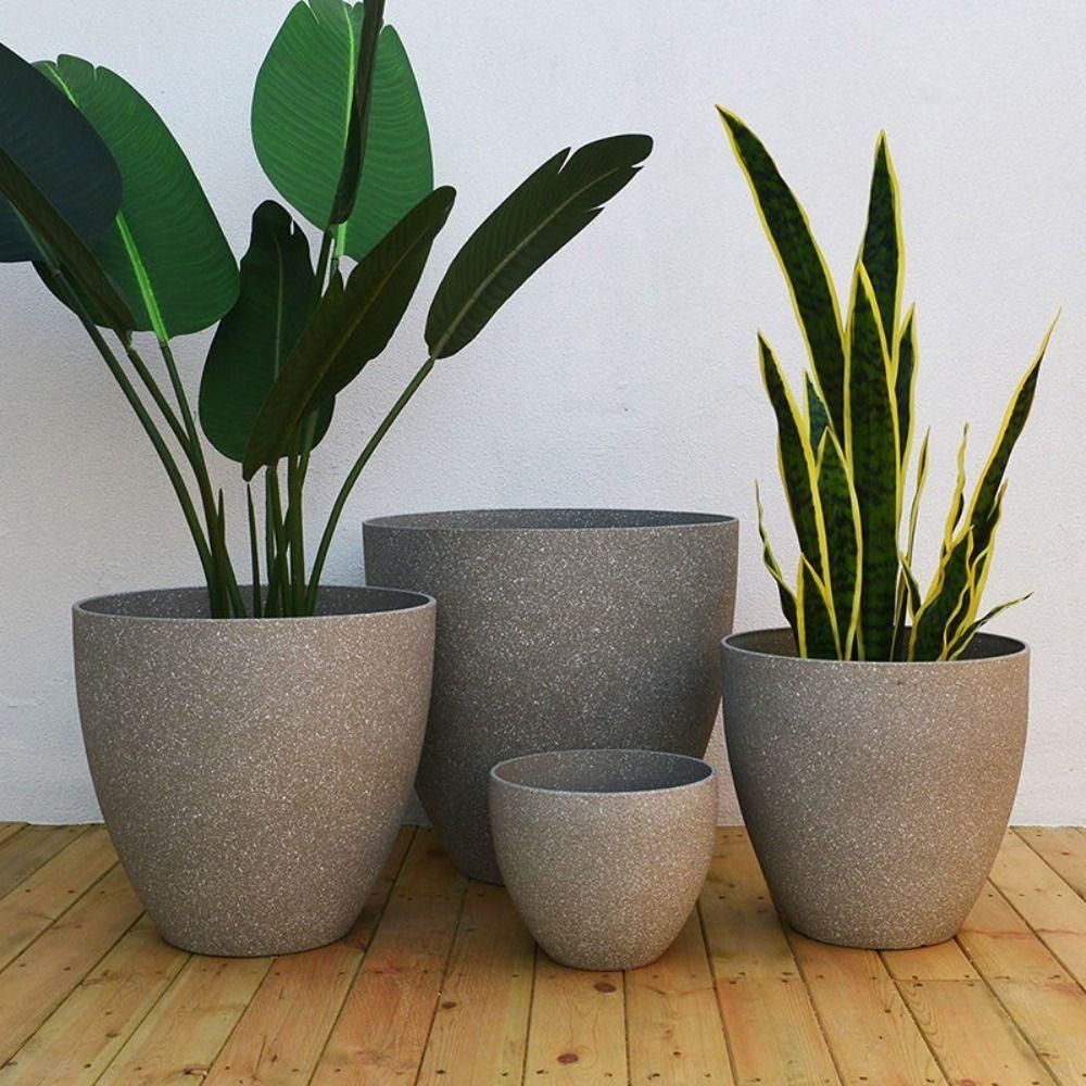 Aloe Vera Pot - متجمد تقليد الحجر بونساي الزهرية شرفة