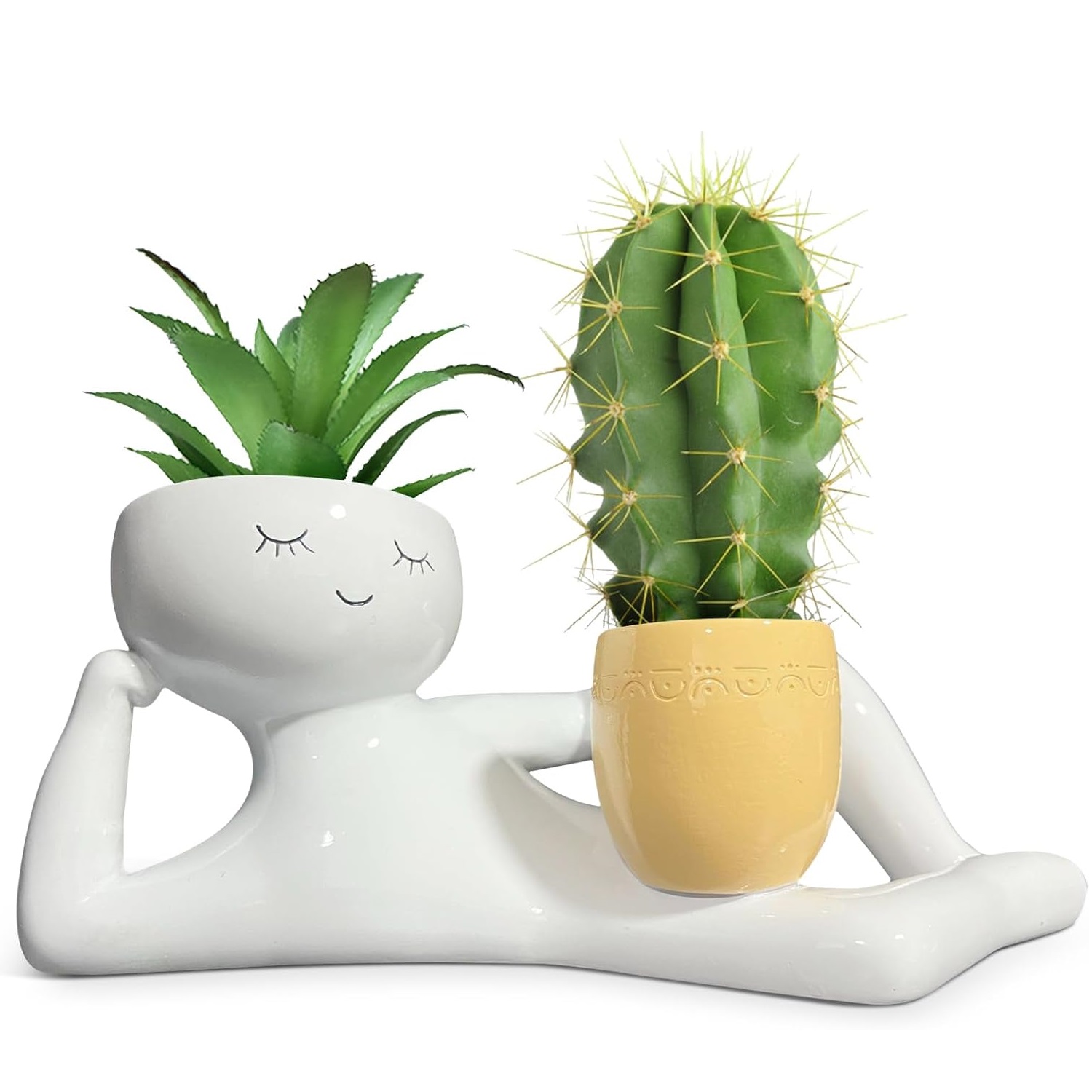 Echeveria Succulent - وعاء زرع فريد بتصميم الرجل الكسول،