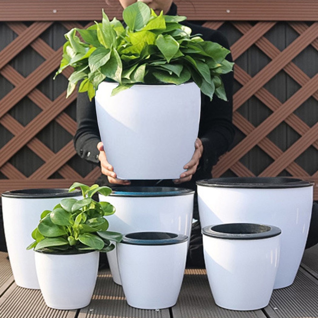 Aloe Vera Pot - التلقائي سقي النباتات وعاء ، كسول