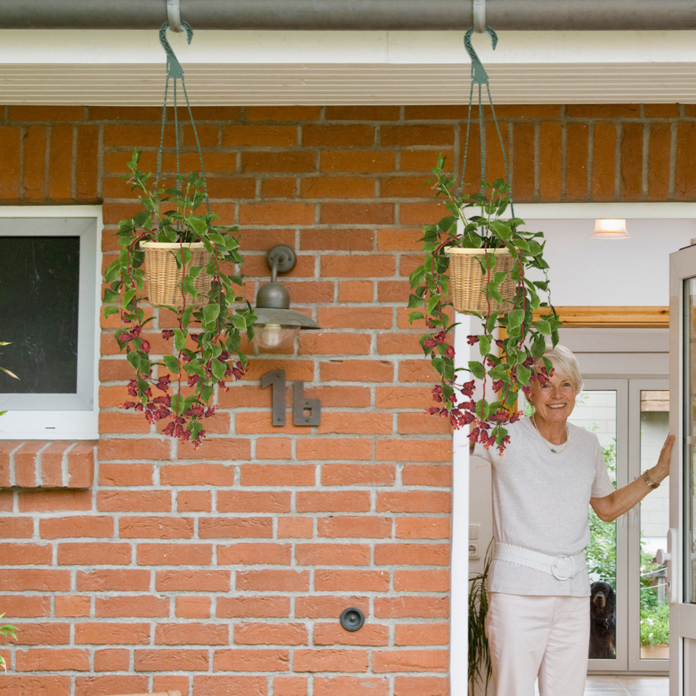 Spider Plant Hanging - 5 قطع خطافات تعليق متعددة الاستخدامات