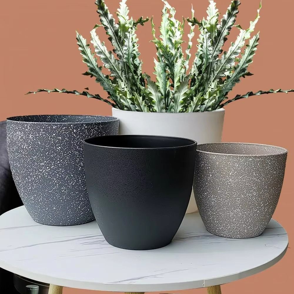 متجمد تقليد الحجر بونساي الزهر - مراجعة Aloe Vera Pot وسعره