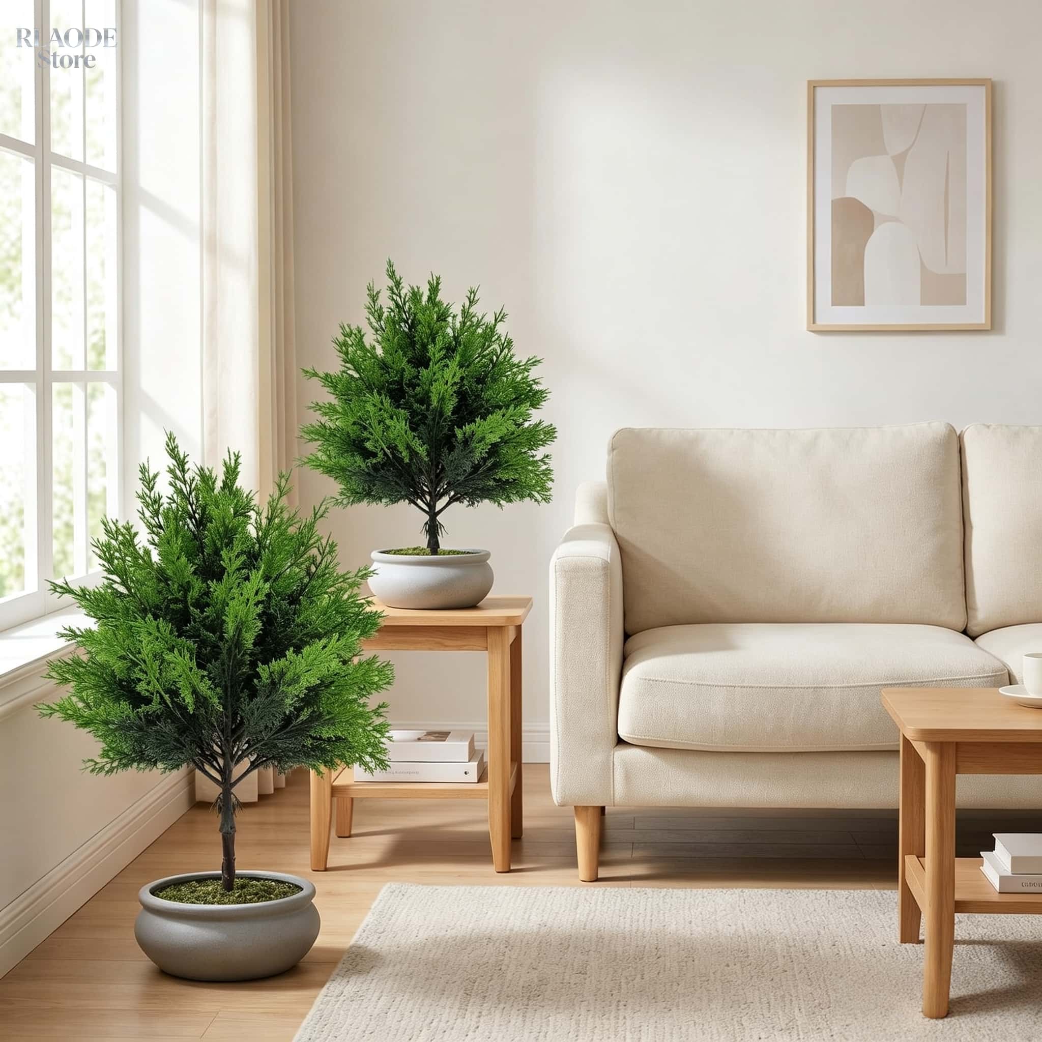 قطعتان من الخضرة الاصطناعية ال - مراجعة Dracaena Marginata وسعره