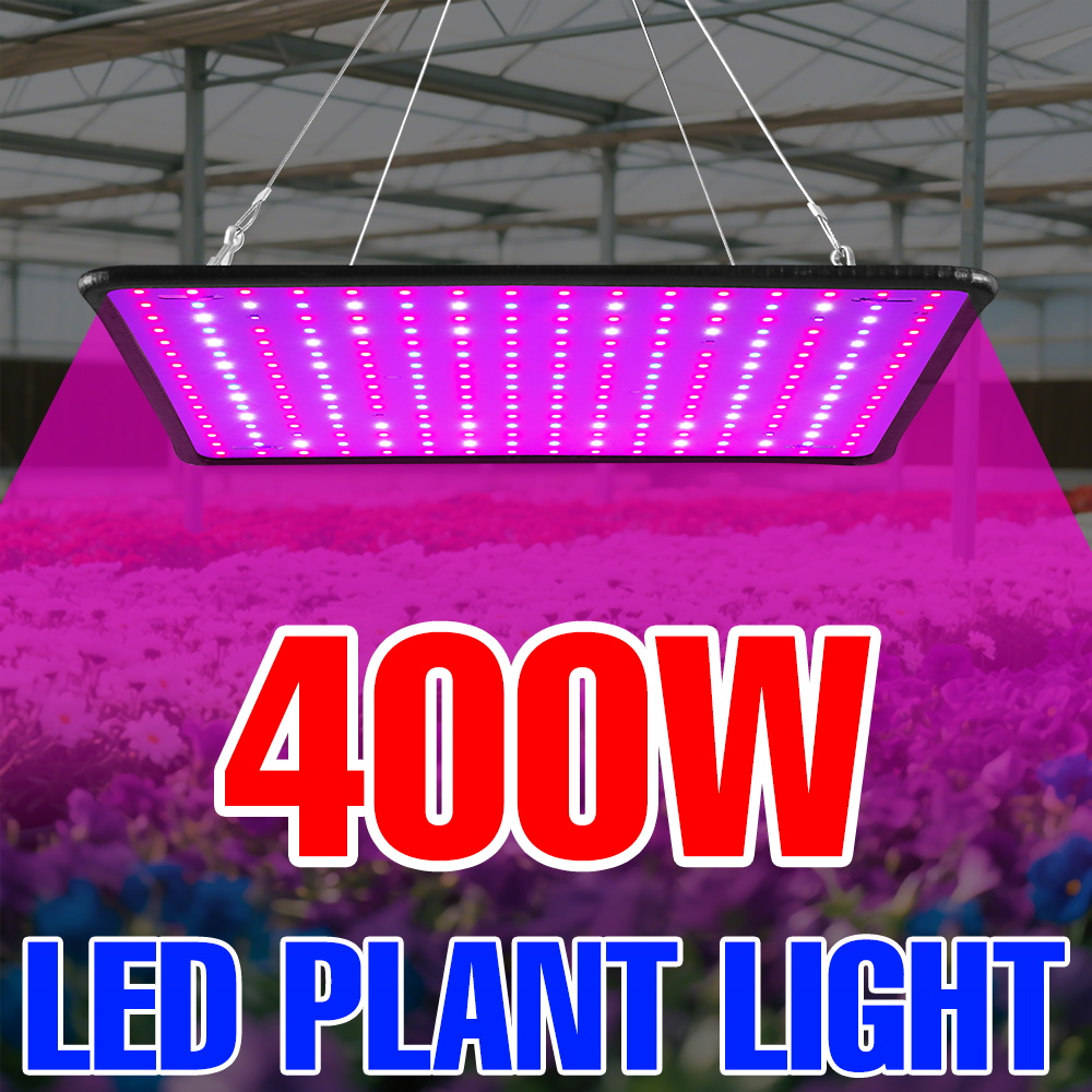 400 واط LED تنمو ضوء الطيف الك - مراجعة Echeveria Succulent وسعره
