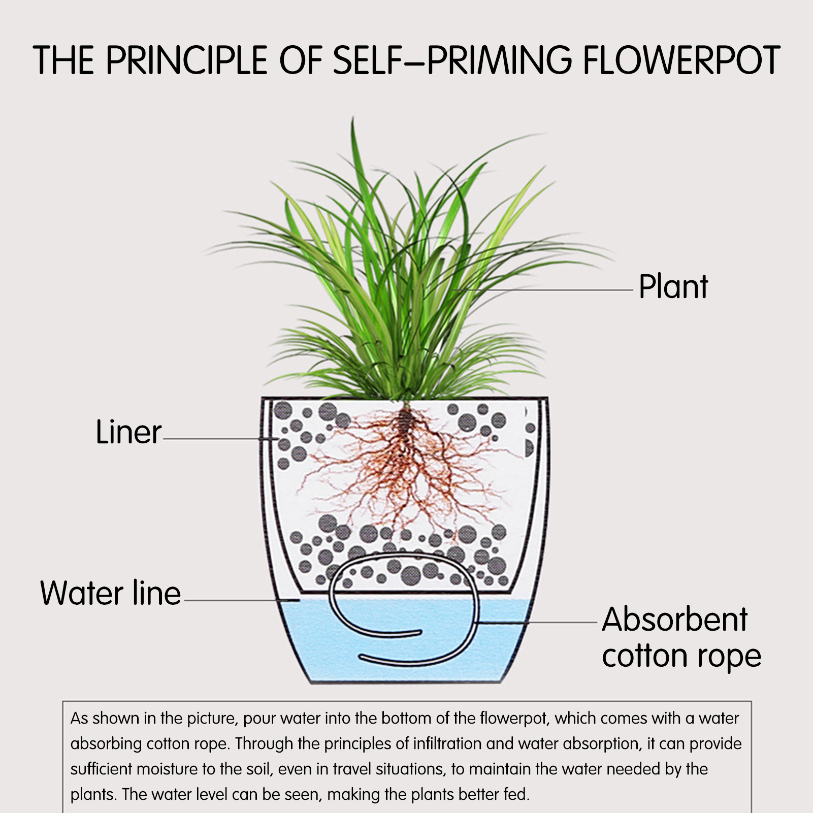 التلقائي الذاتي سقي زهرة النبا - مراجعة Aloe Vera Pot وسعره
