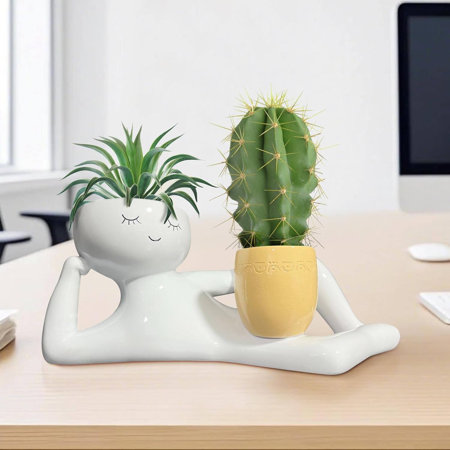 وعاء زرع فريد بتصميم الرجل الك - مراجعة Echeveria Succulent وسعره