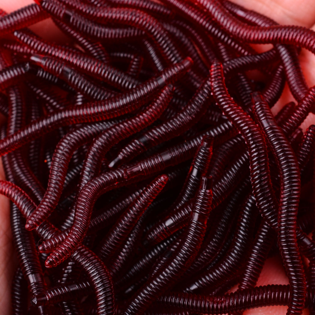 50 قطعة نابض بالحياة الأحمر دو - مراجعة Aglaonema Red وسعره