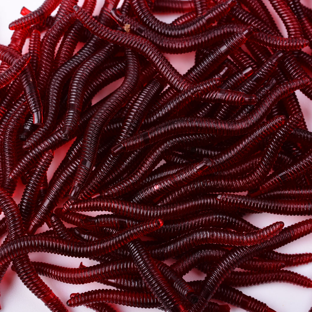 50 قطعة نابض بالحياة الأحمر دو - مراجعة Aglaonema Red وسعره