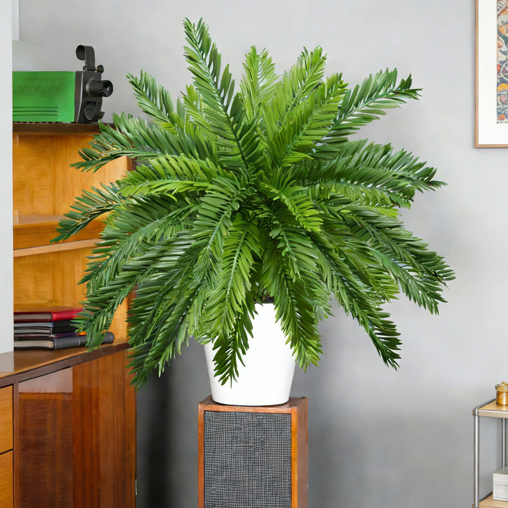 نباتات نخيل صناعية بطول 45 سم، - مراجعة Dracaena Marginata وسعره