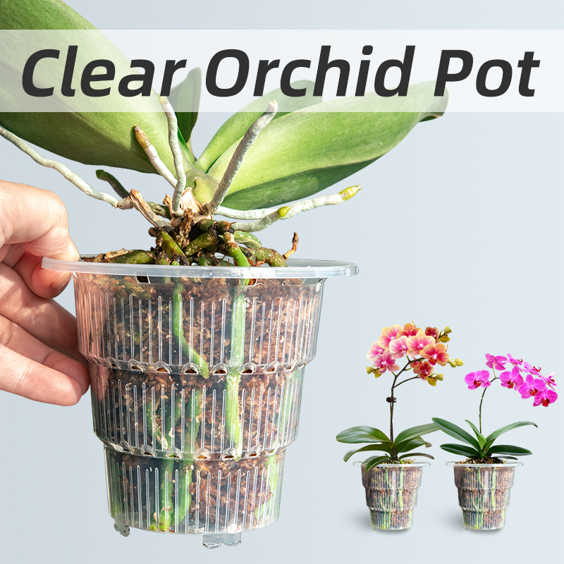 أوعية أوركيد بلاستيكية شفافة م - مراجعة Aloe Vera Pot وسعره