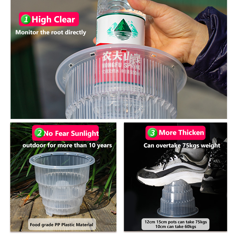 أوعية أوركيد بلاستيكية شفافة م - مراجعة Aloe Vera Pot وسعره