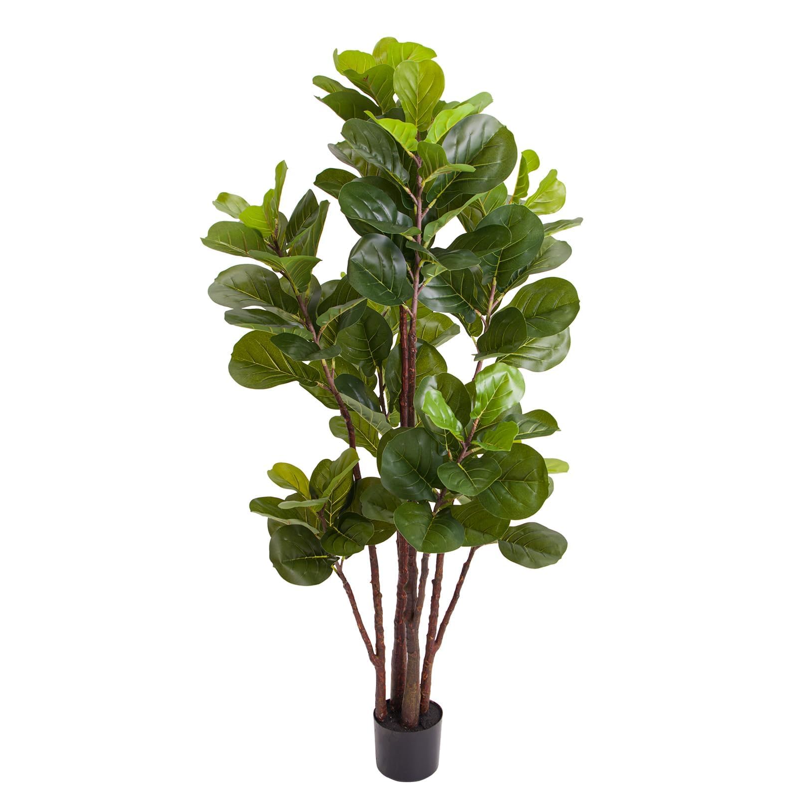 شجرة التين الاصطناعية، نباتات  - مراجعة Ficus Lyrata Tree وسعره