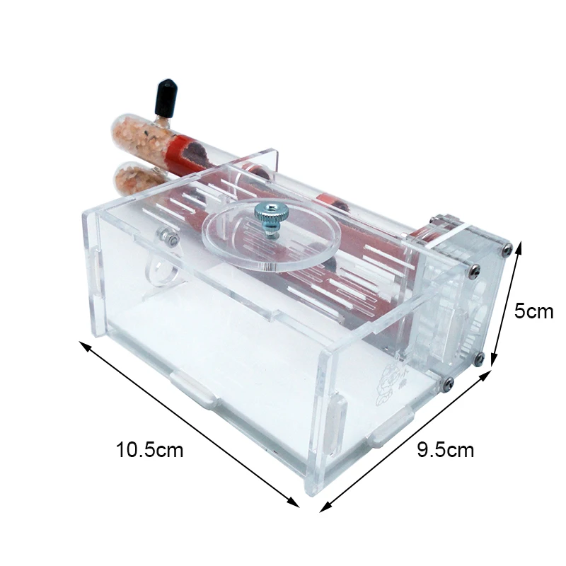 عش أنبوب اختبار جبس من الخيزرا - مراجعة Begonia Rex وسعره