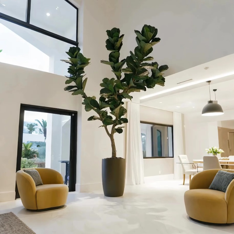 نباتات اصطناعية نباتات بوعاء د - مراجعة Ficus Lyrata Tree وسعره