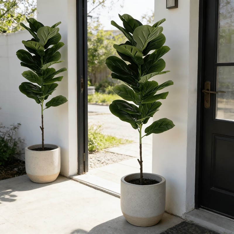 شجرة تين ليراتا اصطناعية بطول  - مراجعة Ficus Lyrata Tree وسعره