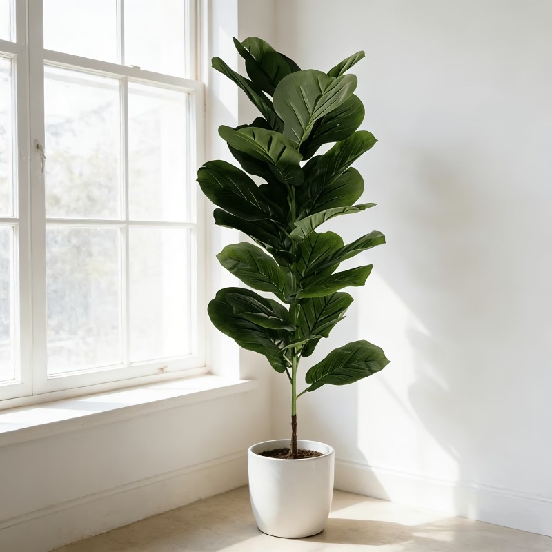 شجرة تين ليراتا اصطناعية بطول  - مراجعة Ficus Lyrata Tree وسعره