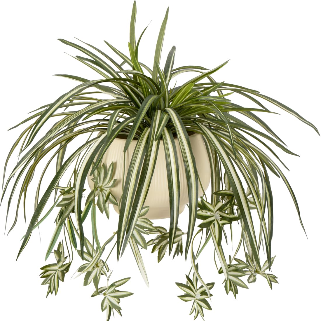 4 قطع نباتات عنكبوت صناعية معل - مراجعة Spider Plant Hanging وسعره