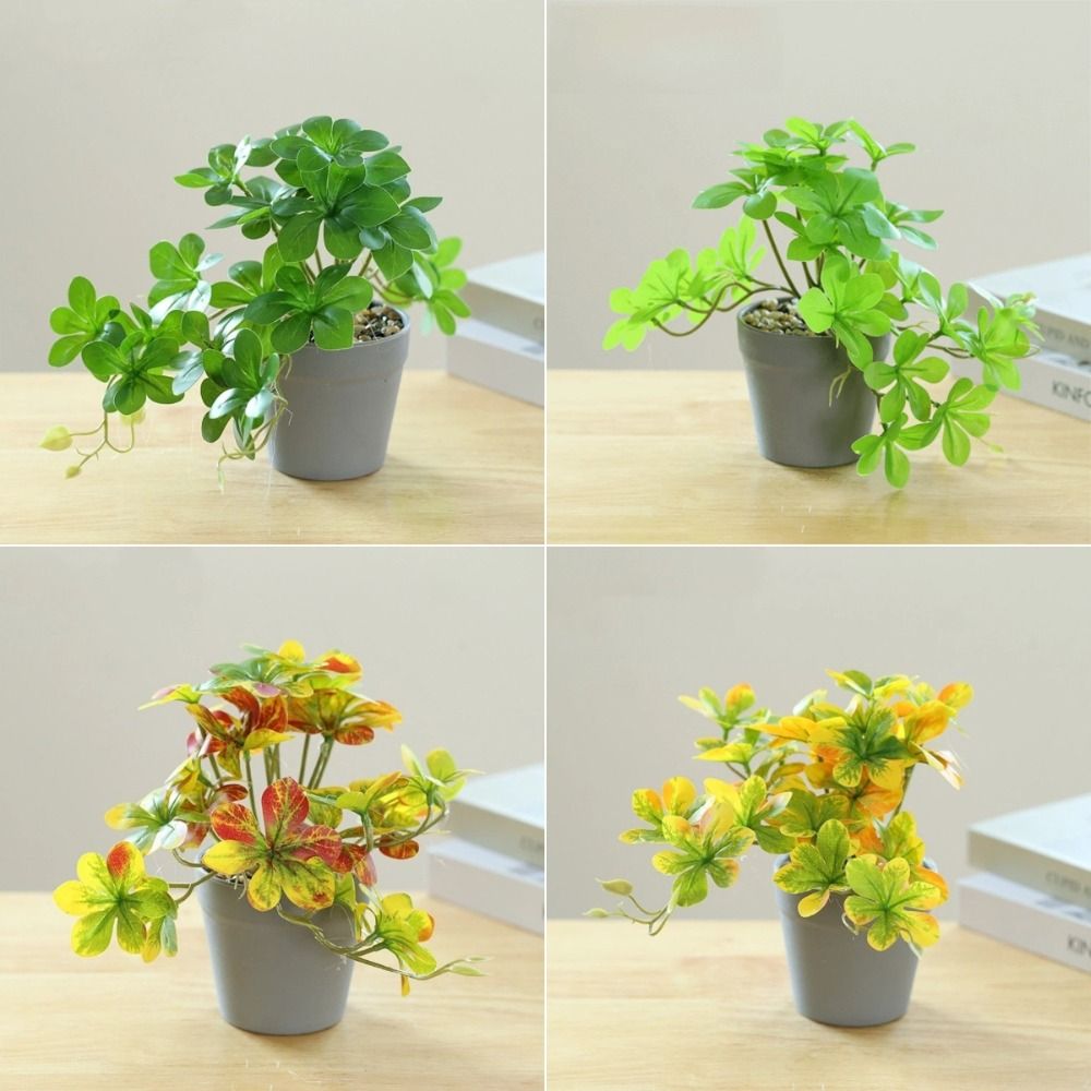 نبات بونساي اصطناعي، نبات عنكب - مراجعة Spider Plant Hanging وسعره