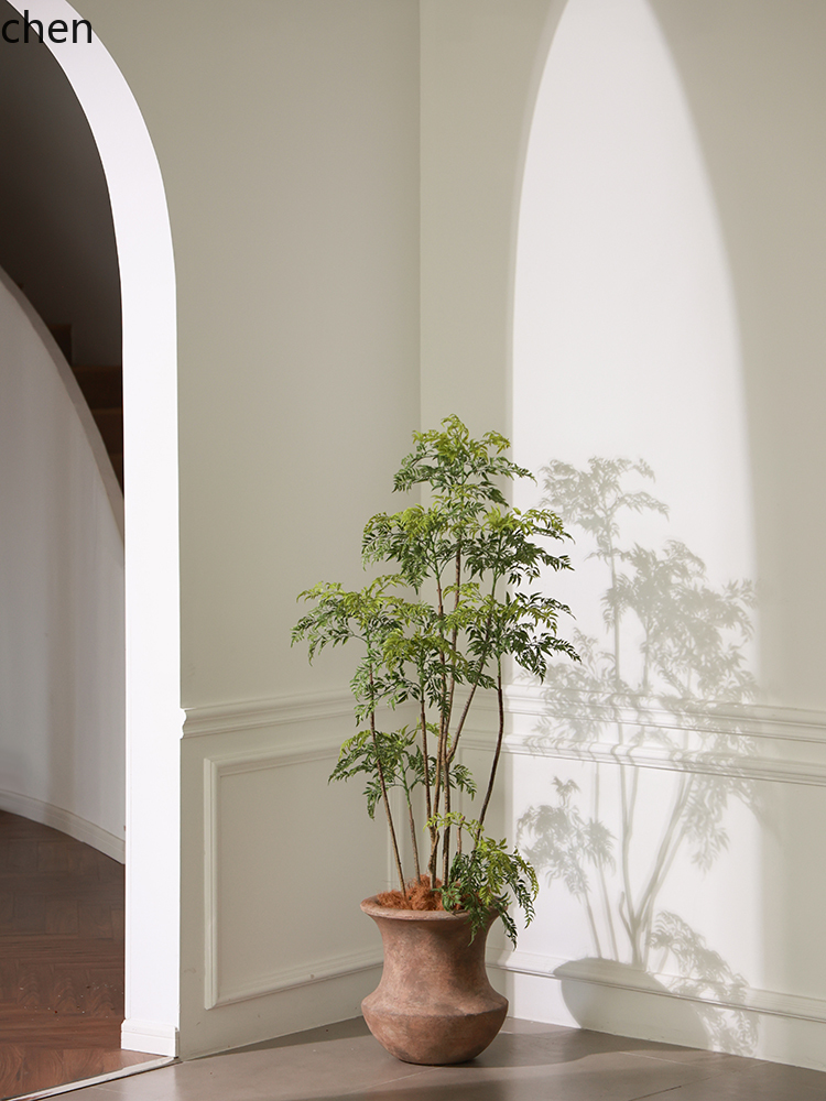 LYY مزهرية أرضية بنبات أخضر، ش - مراجعة Ficus Lyrata Tree وسعره