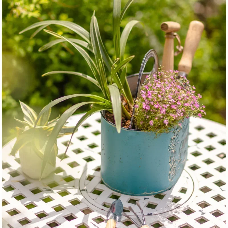 الأزرق شنقا جدار زارع المسنين  - مراجعة Spider Plant Hanging وسعره