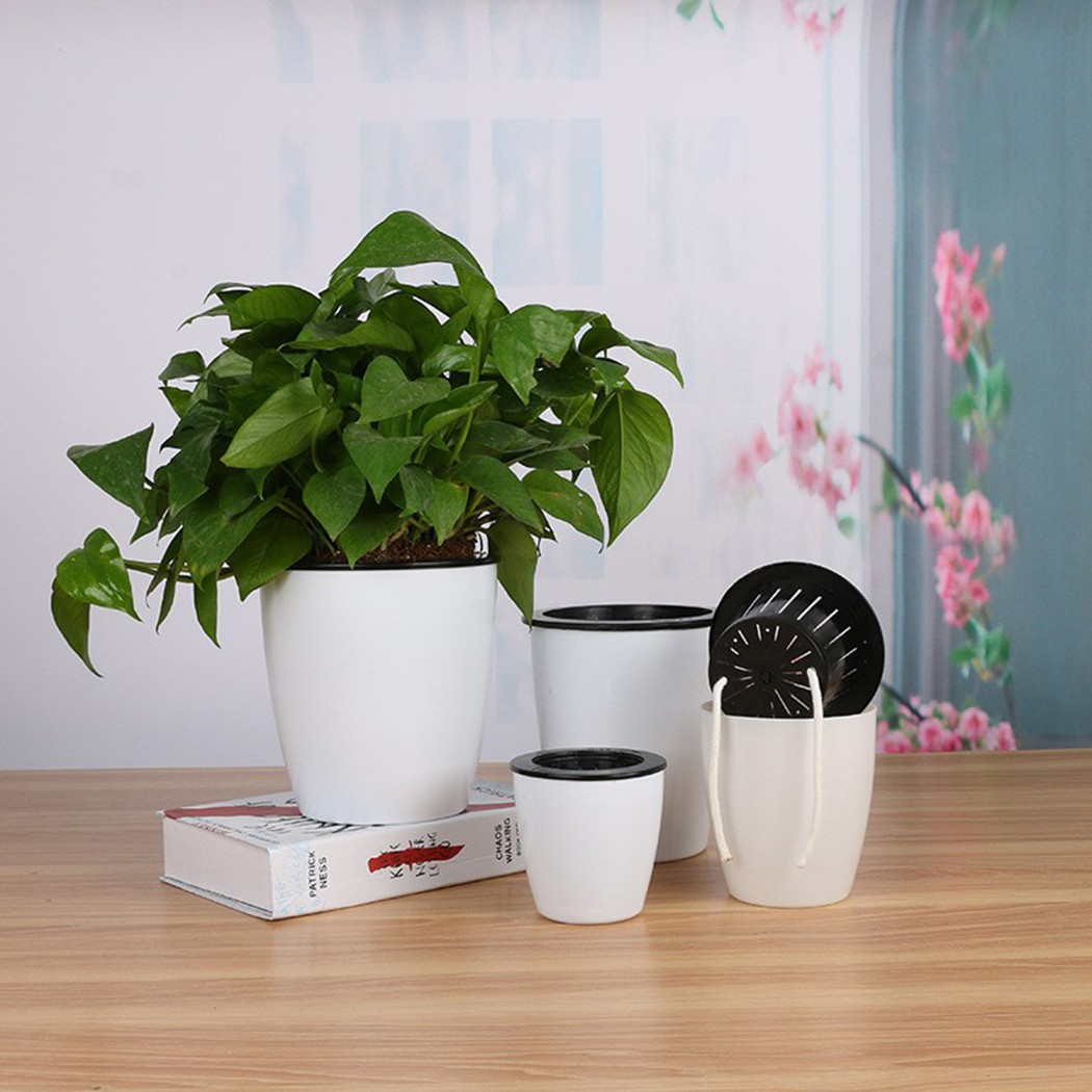 التلقائي سقي النباتات وعاء ، ك - مراجعة Aloe Vera Pot وسعره