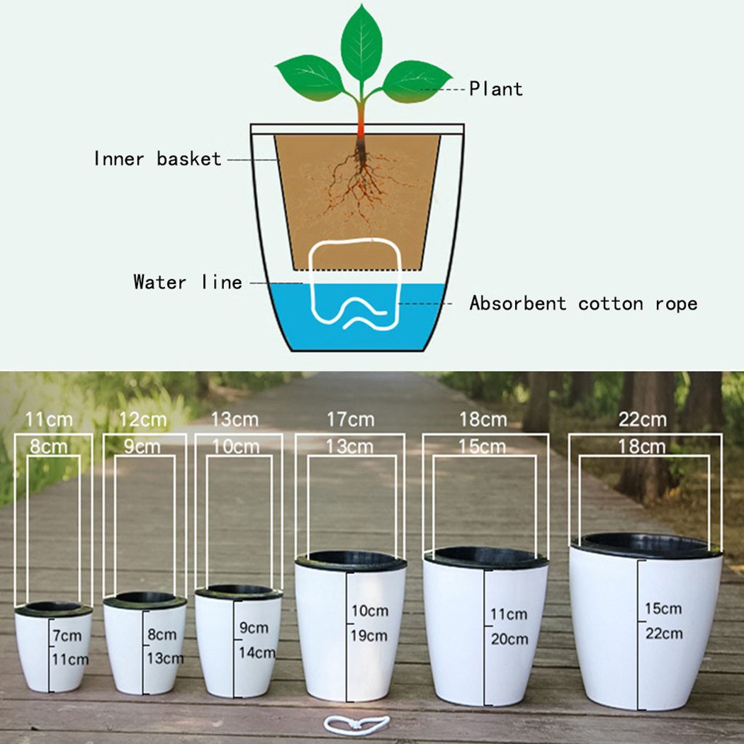 التلقائي سقي النباتات وعاء ، ك - مراجعة Aloe Vera Pot وسعره