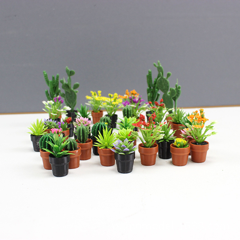 نباتات صغيرة مقلدة الصبار زهرة - مراجعة Echeveria Succulent وسعره
