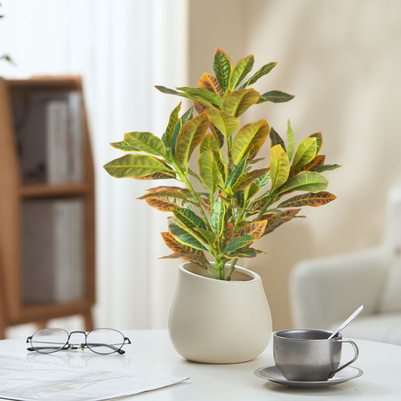 24-41 سنتيمتر النباتات الاصطنا - مراجعة Ficus Lyrata Tree وسعره