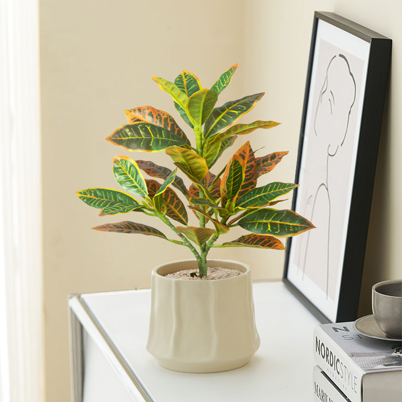 24-41 سنتيمتر النباتات الاصطنا - مراجعة Ficus Lyrata Tree وسعره