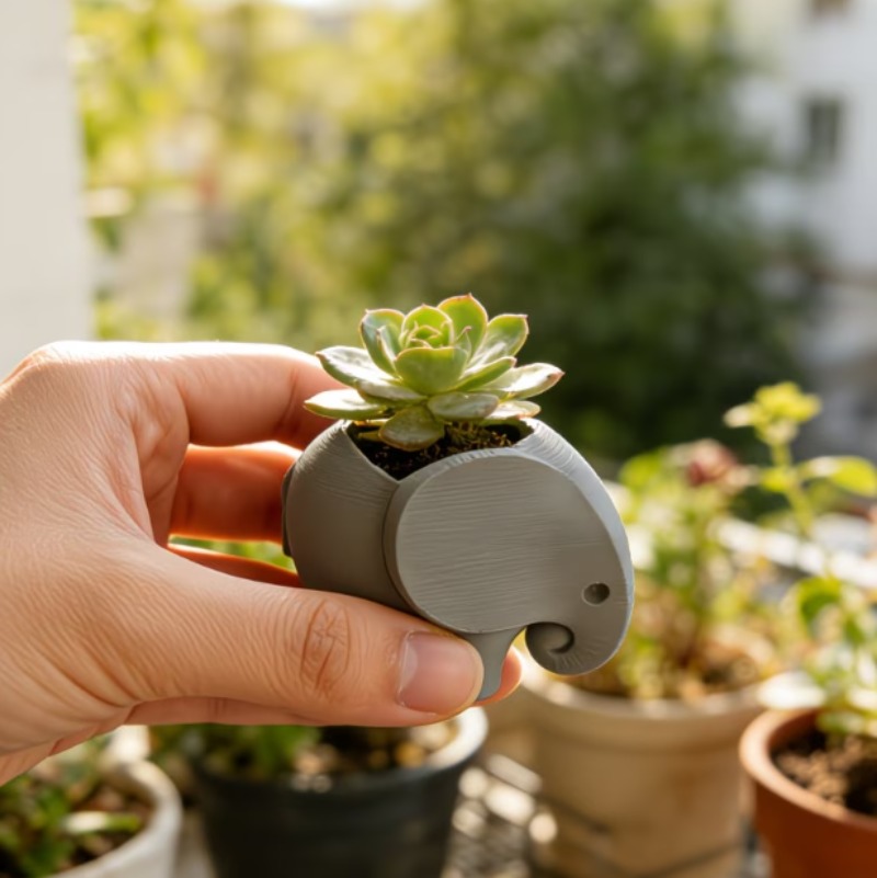 وعاء زهور سيراميك على شكل فيل، - مراجعة Echeveria Succulent وسعره