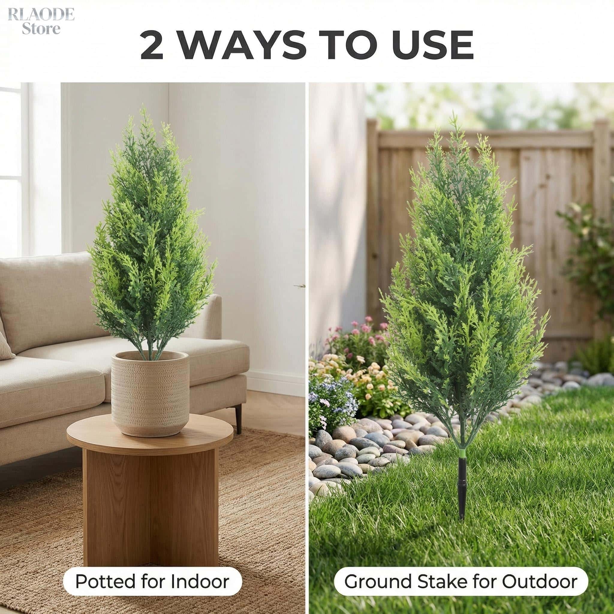 قطعتان من شجر السرو الاصطناعي  - مراجعة Dracaena Marginata وسعره