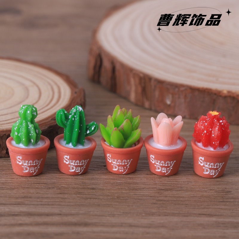 5 قطع محاكاة نباتات عصارية بوع - مراجعة Echeveria Succulent وسعره